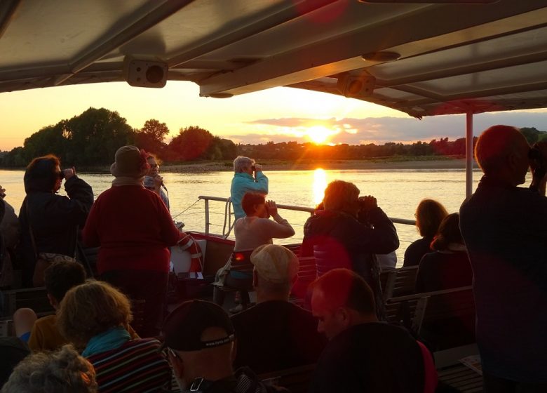 Croisière Ornithologique avec la LPO à bord de La Luce