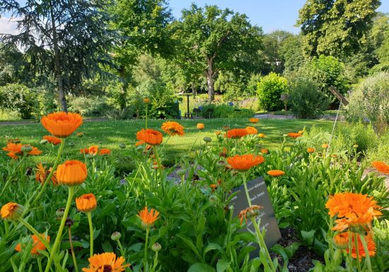 Rendez-vous aux Jardins à Camifolia