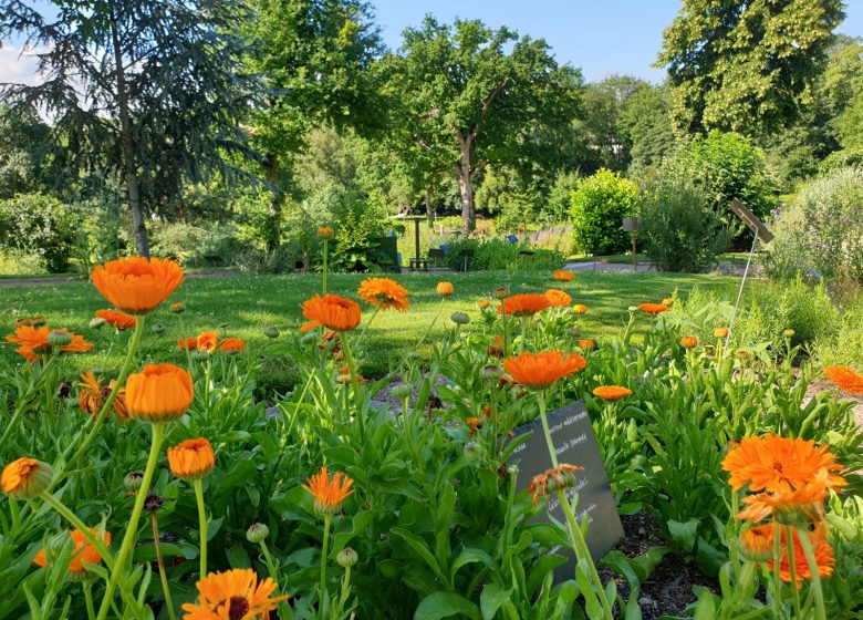 Rendez-vous aux jardins à Camifolia