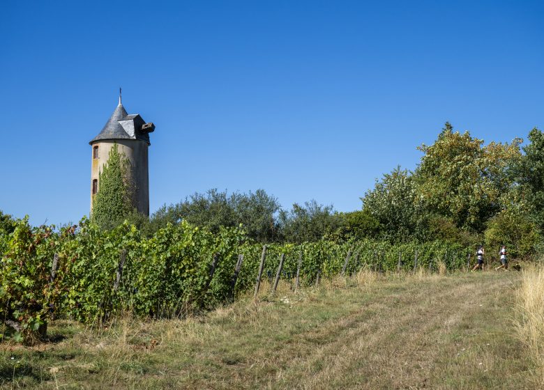 Balade gourmande – Centre Social Val&rsquo;Mauges