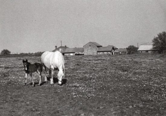 La campagne de St Laurent