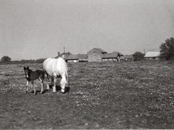 La campagne de St Laurent