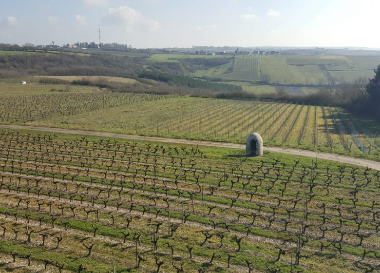 ROUTES DES VINS LOIRE SAUVAGE ET CORNICHE ANGEVINE