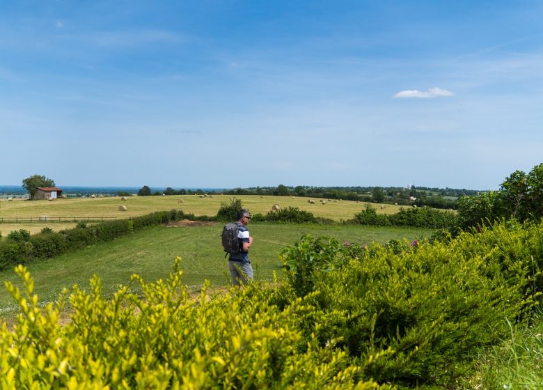 PANORAMA LE TOIT DE L’ANJOU