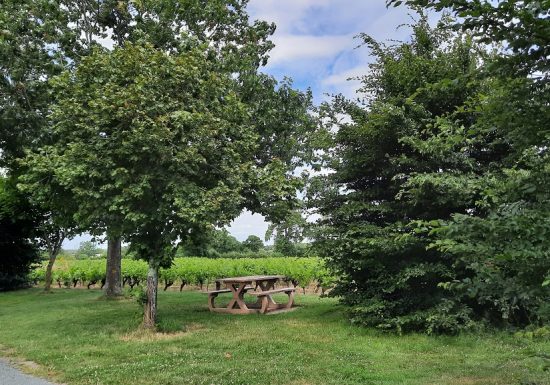 Aire de pique nique du Moulin Guillou