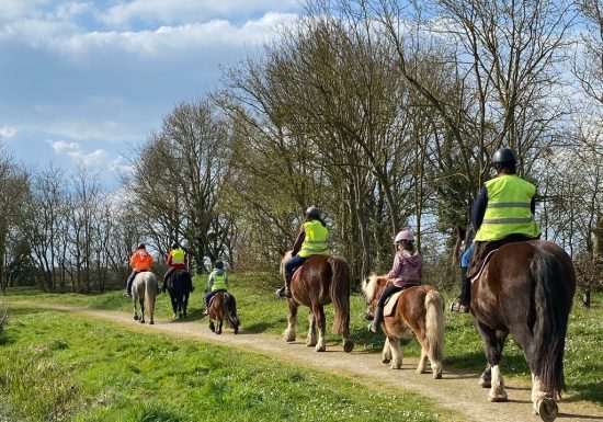 Balade à cheval et à poney avec l&rsquo;association « À quatre temps »