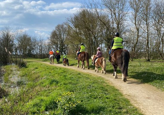 Stages été – Plongez dans l&rsquo;univers du cheval avec l&rsquo;association A quatre temps
