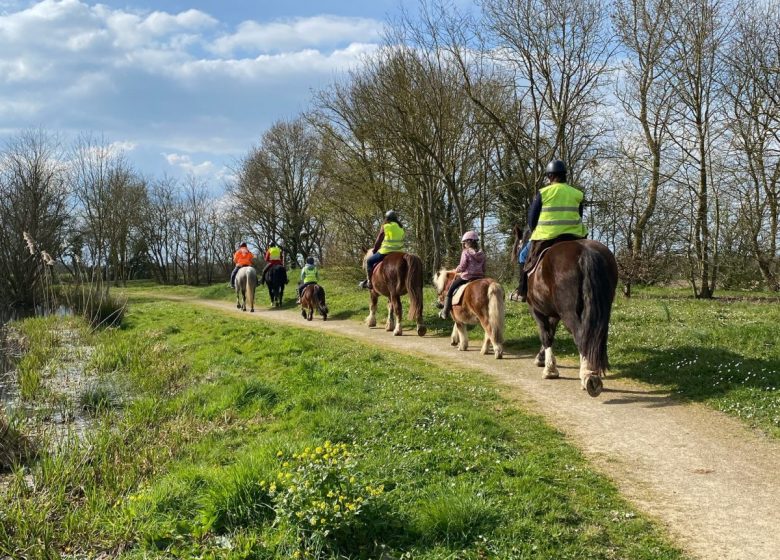 Stages été – Plongez dans l&rsquo;univers du cheval avec l&rsquo;association A quatre temps
