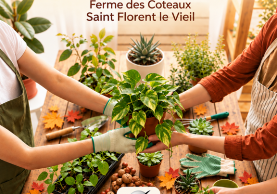 Troc de plantes à la Ferme des coteaux