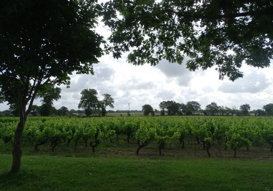 Aire de camping-car du Moulin Guillou