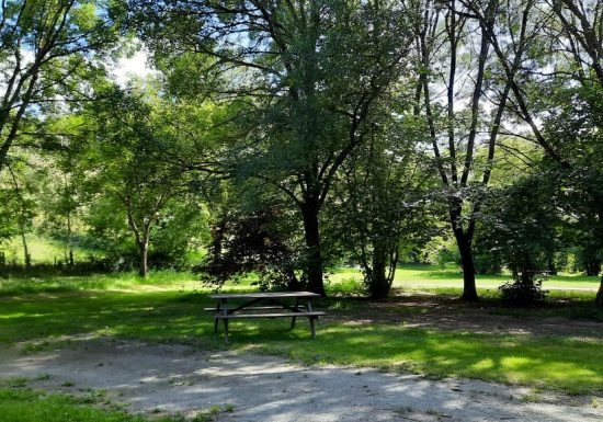 Aire de pique-nique de Coulaines à La Chapelle-Saint-Florent