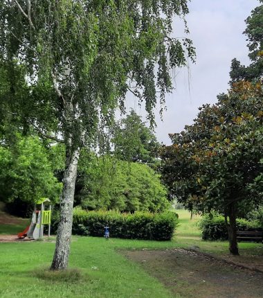 Aire de pique nique de la Moine