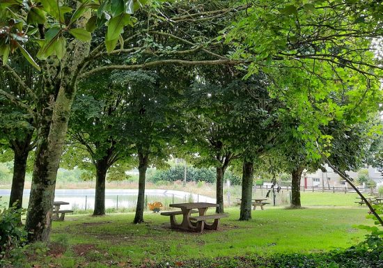 Aire de pique nique de la Moine