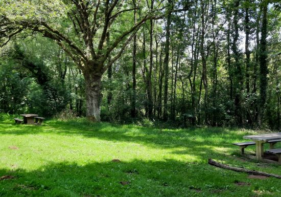 Aire de pique nique « Espace Bikini »