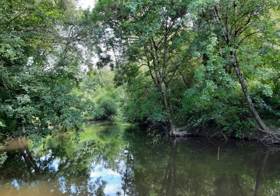 Aire de pique nique « Espace Bikini »