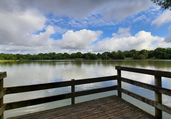 Pêche à l’étang de la Croix Verte