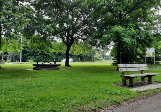 Pêche à l’étang de la Croix Verte