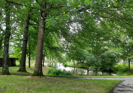 Pêche au plan d&rsquo;eau de St André de la Marche