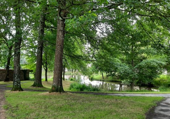 Aire de pique nique de l’étang de St André