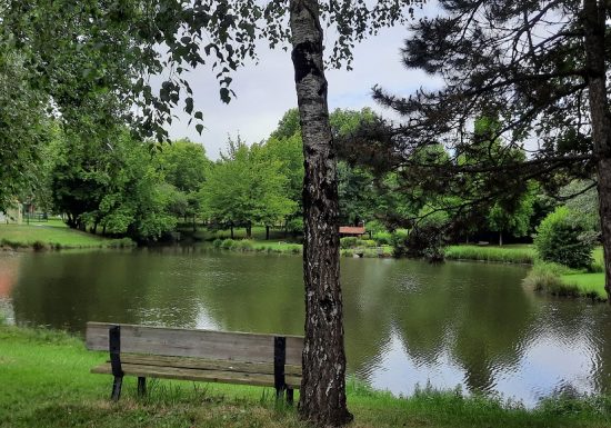 Aire de pique nique de l’étang de St André