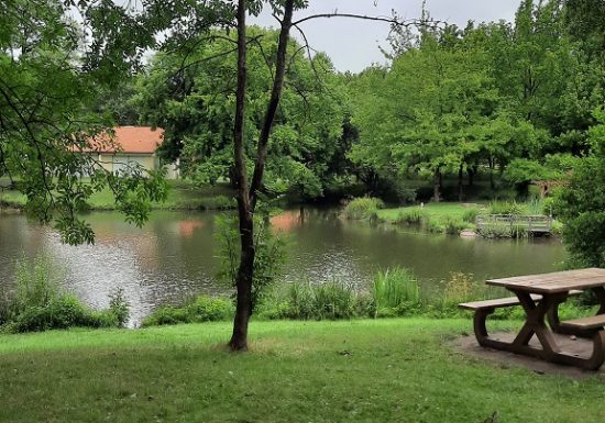 Aire de pique nique de l’étang de St André