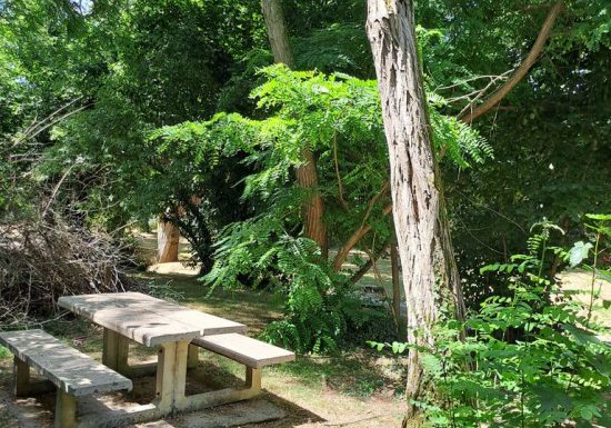 Aire de pique-nique du Petit Coin