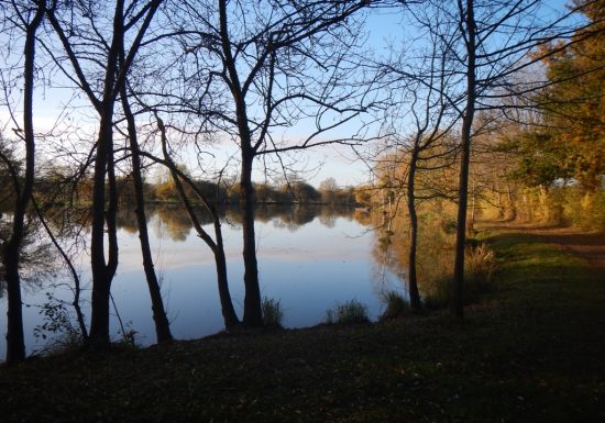 Pêche au plan d’eau de la Grand’Fosse