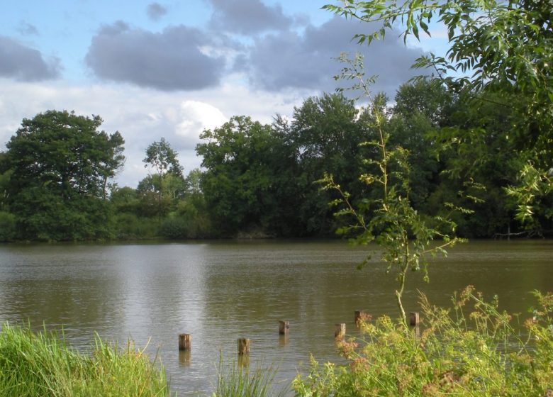 Etang de la Thévinière