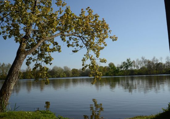 Etang de la Thévinière