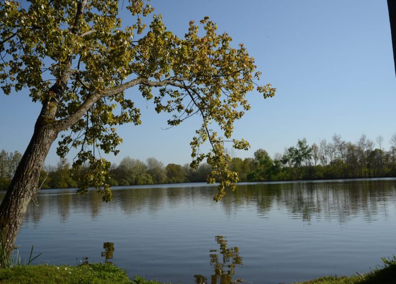 ETANG DE LA THÉVINIÈRE