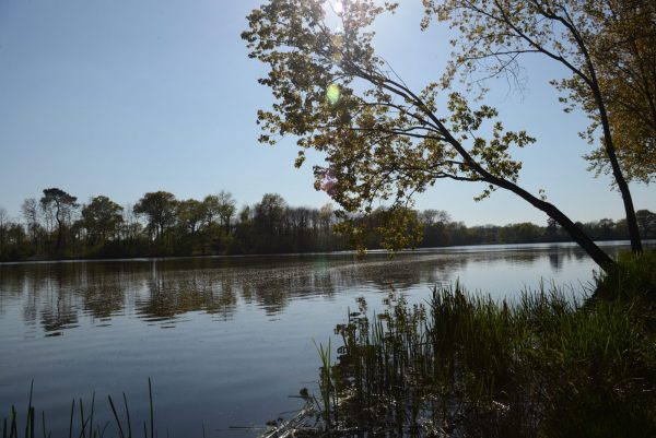 Croix commémorative du château du Plessis via la randonnée "Aux abords de la Thévinière"