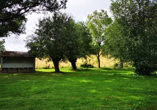 Aire de pique-nique de Coulaines à La Chapelle-Saint-Florent