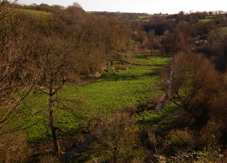 Aire de pique-nique de la Coulée Saint Joseph