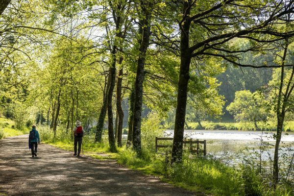 LA SEVRE NANTAISE A TORFOU