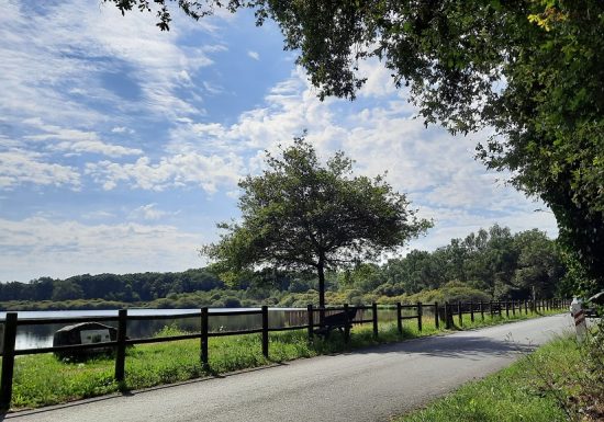 Aire de pique-nique de l’Etang du Pavillon