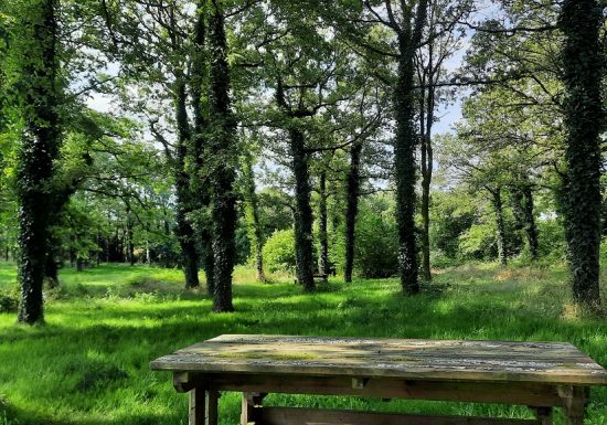 Aire de pique-nique de l’Etang du Pavillon