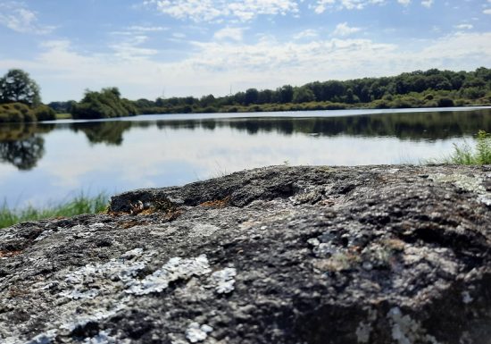 Aire de pique-nique de l’Etang du Pavillon