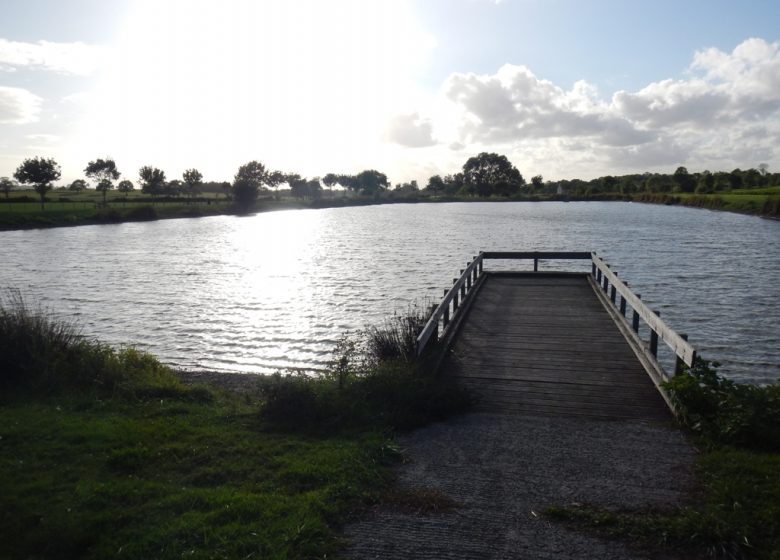 PÊCHE AU PLAN D’EAU TOUT LUI FAUT