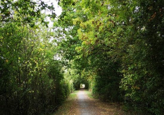 Randonnée déguisée