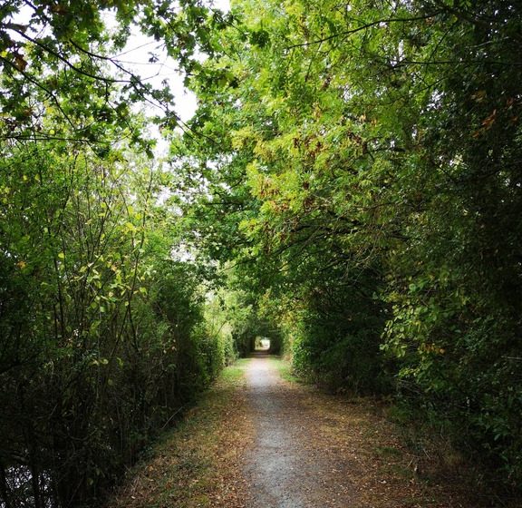 Randonnée déguisée