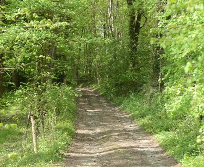 Parc de la Gautrêche