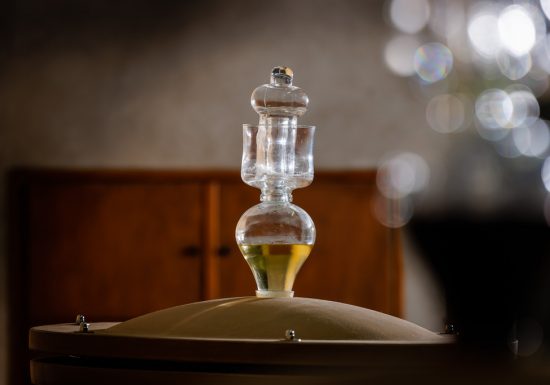 Vignoble Musset-Roullier