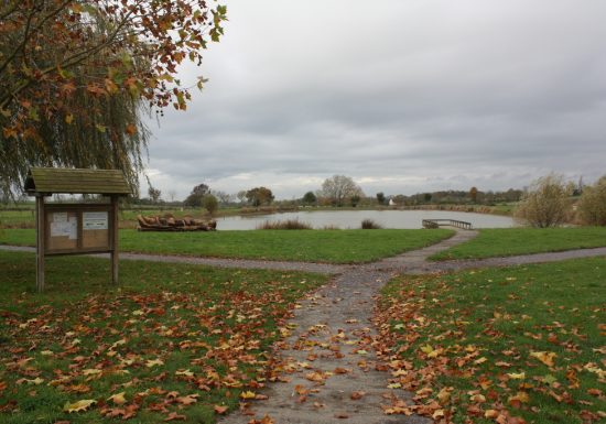 Étang de pêche de Tout lui faut (Stade)