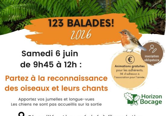 Animation 123 jardin ! 	Partez à la découverte des oiseaux et leurs chants