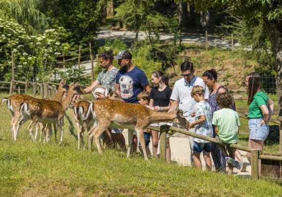 Sortie à Natural&rsquo;Parc – Centre Social Val&rsquo;Mauges