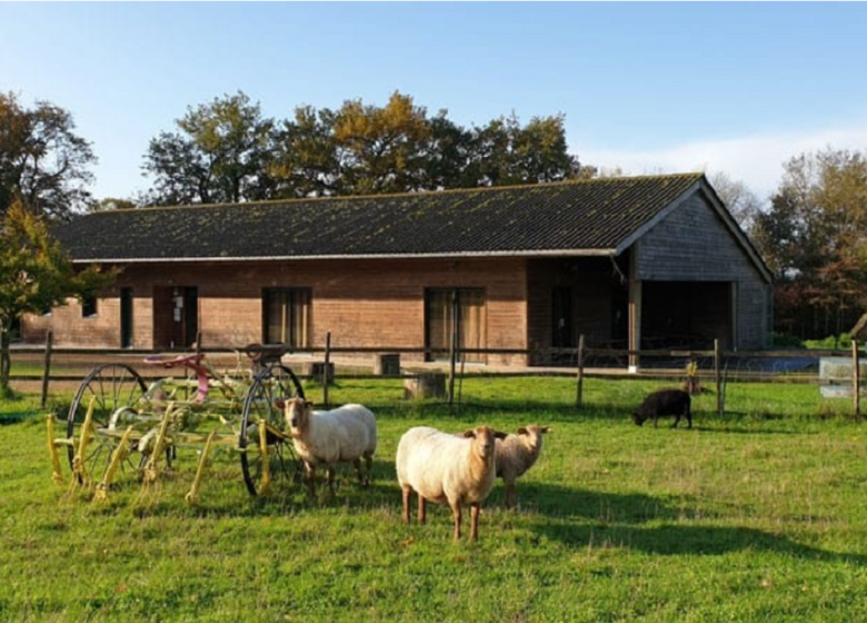 Centre de médiation animale Ter’Anima