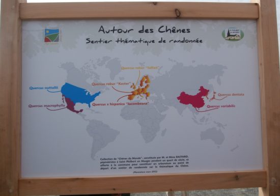 Arboretum des Chênes du Monde