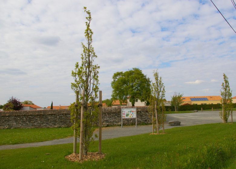 Arboretum des Chênes du Monde