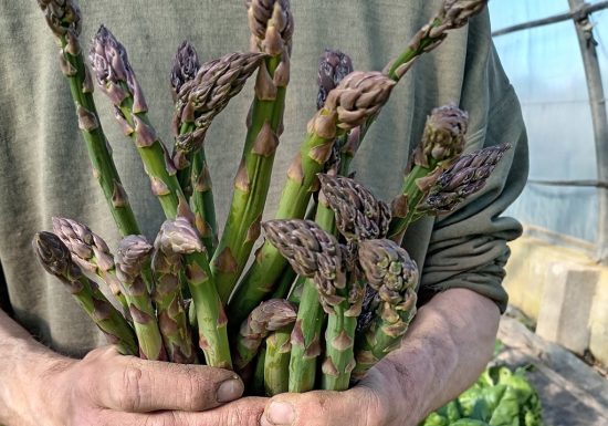 La Ferme du Cormier, maraicher biologique