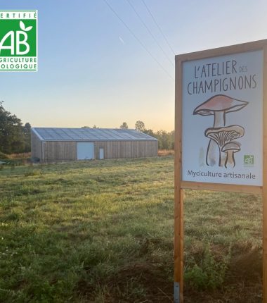 L&rsquo;atelier du champignon